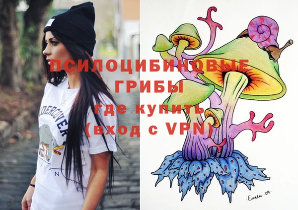 кокс Дмитриев