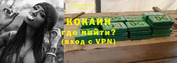 кокс Дмитриев