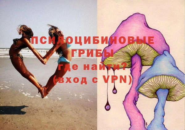 кокс Дмитриев