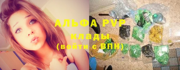 кокс Дмитриев