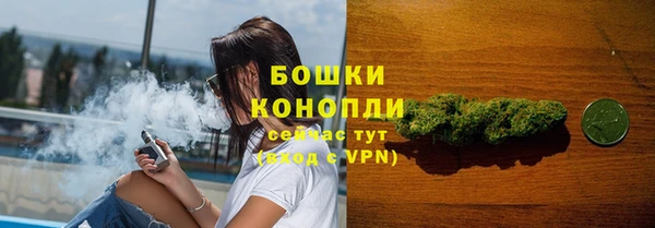 кокс Дмитриев