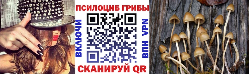 Псилоцибиновые грибы мухоморы Купить где Кандалакша